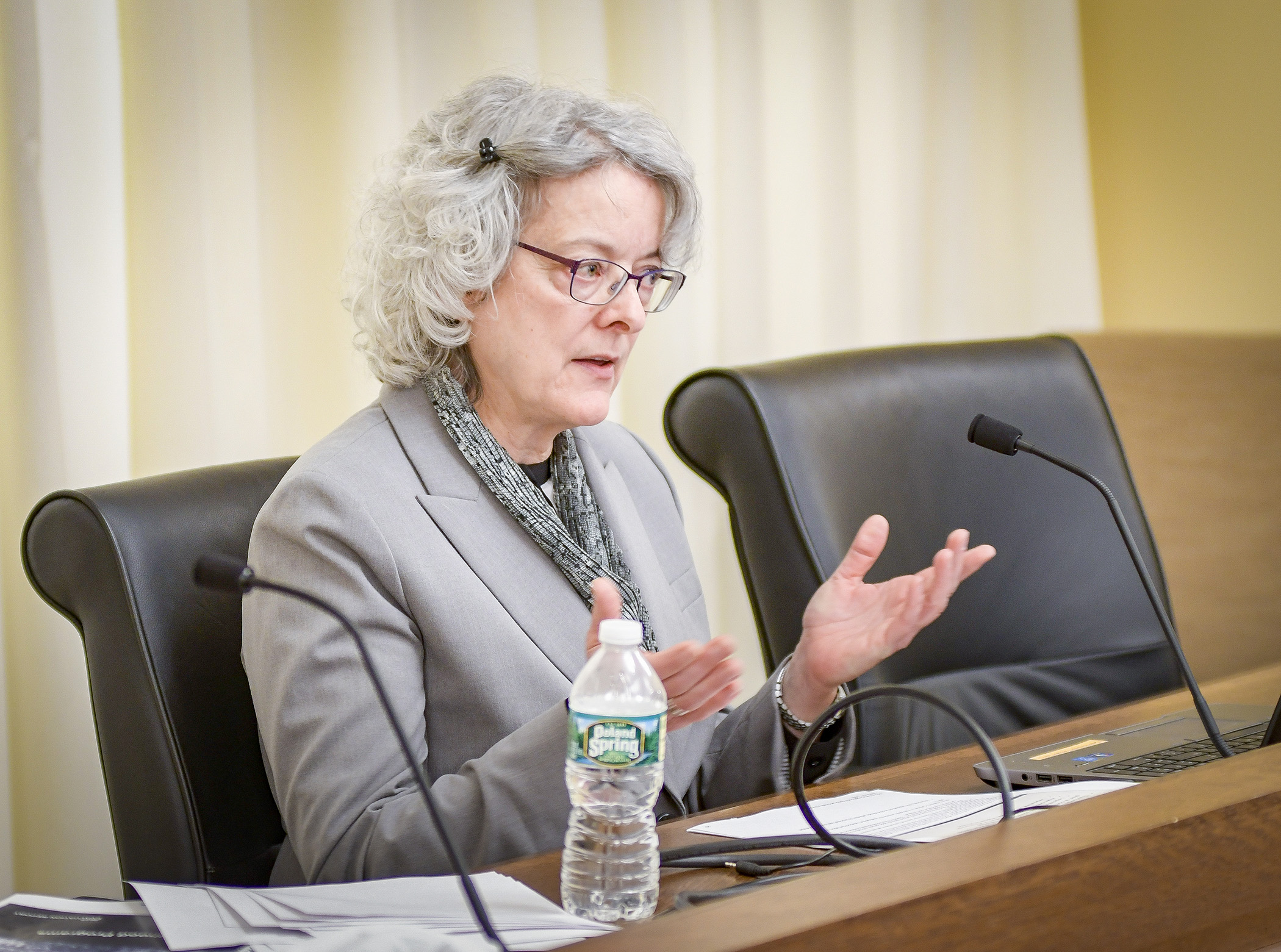 Jody Hauer, evaluation coordinator for the Office of the Legislative Auditor, presents the 2018 evaluation report on early childhood programs to the House Early Childhood Finance and Policy Division Feb. 7. Photo by Andrew VonBank